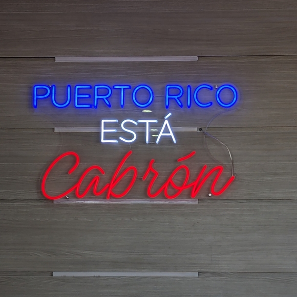 Meet your Posher, Daisy - Picture 2 of 16